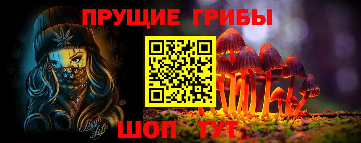Псилоцибиновые грибы Psilocybine cubensis Лангепас
